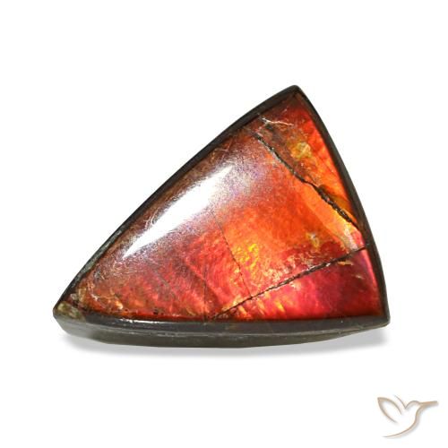 1.64ct Multicolor Ammolite, Trillion, Opaque