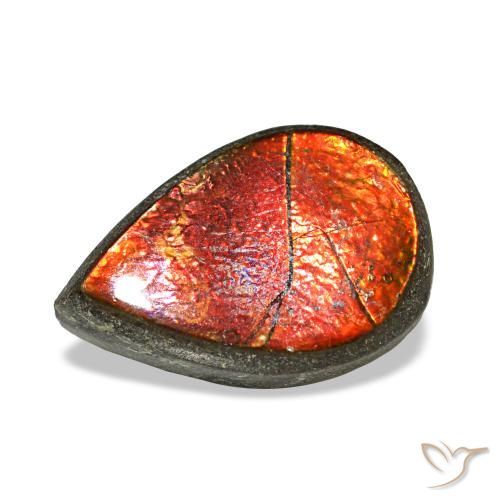 1.42 ct Multicolor Ammolite Gemstone, Ammolite Gem in Pear Cabochon Shape for Sale.