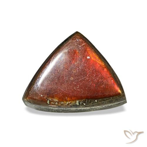 1.17 ct Multicolor Ammolite Gemstone, Ammolite Gem in Trillion Cabochon Shape for Sale.