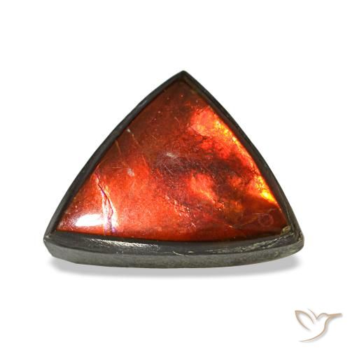 1.77 ct Multicolor Ammolite Gemstone, Ammolite Gem in Trillion Cabochon Shape for Sale.