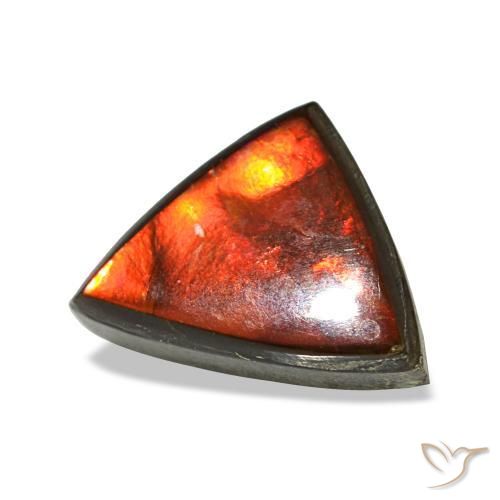 1.77 ct Multicolor Ammolite Stone, Natural Ammolite in Trillion Cabochon Shape for Sale