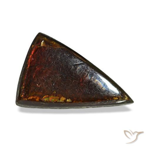 1.89 ct Multicolor Ammolite Stone, Natural Ammolite in Trillion Cabochon Shape for Sale