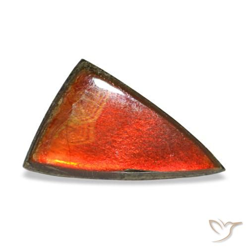 1.11 ct Multicolor Ammolite Gemstone, Ammolite Gem in Trillion Cabochon Shape for Sale.
