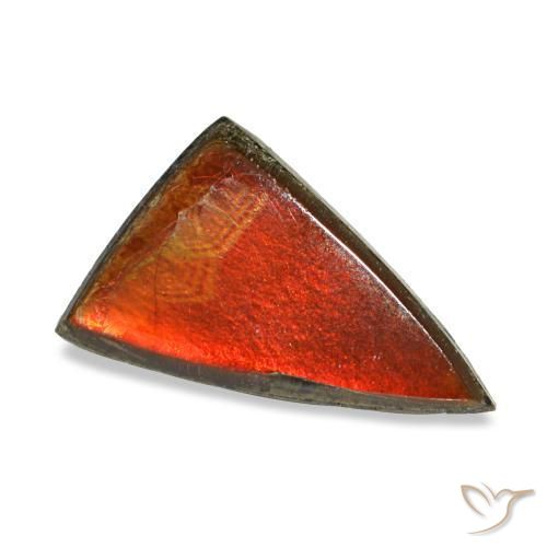 1.11 ct Multicolor Ammolite Stone, Natural Ammolite in Trillion Cabochon Shape for Sale
