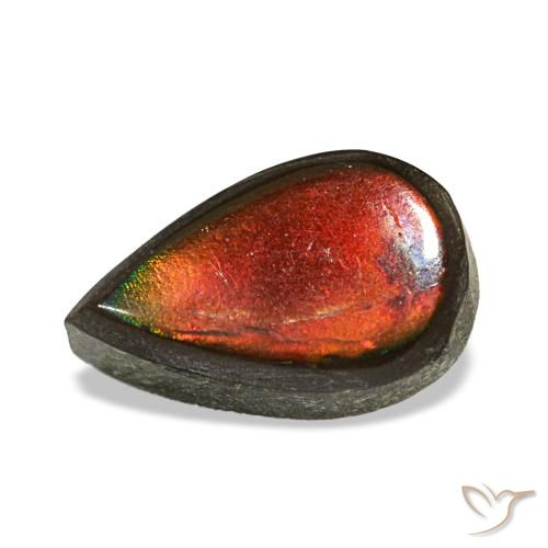 1.48ct Multicolor Ammolite, Pear Shape, Opaque