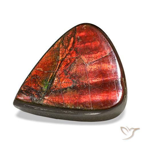 8.58ct Multicolor Ammolite, Pear Shape, Opaque