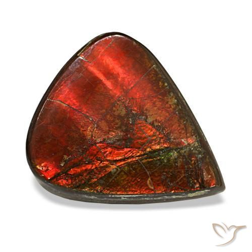 8.58 ct Multicolor Ammolite Stone, Natural Ammolite in Pear Cabochon Shape for Sale