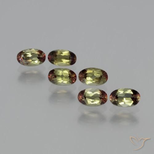 Lote de Andalucita Multicolor Ovalada de 6 piezas de Brasil - Peso 1,64 ct en total / promedio. 0,27 ct cada uno, Tamaño 5 x 3,1mm, Color: Multicolor, Dureza Mohs 7.5 Adecuado para joyas de uso diario, Photo A