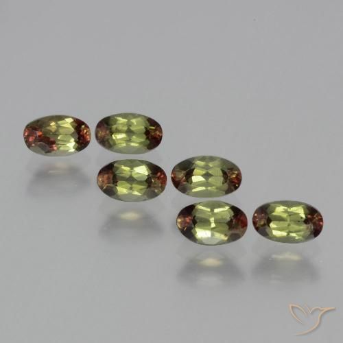 Lote de 6 piezas de Andalucita Multicolor Forma ovalada de Brasil - Tamaño 5 x 3,1mm, peso 1,68 ct en total / promedio. 0,28 ct cada uno, Color: Multicolor, Dureza Mohs 7.5 Adecuado para joyas de uso diario, Photo A