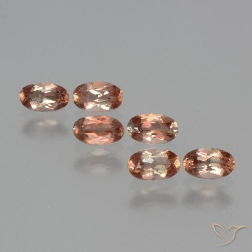 Lote de Andalucita Ovalada de 6 piezas 5 x 3,1mm - Peso total de 1,45 ct / promedio. 0,24 ct cada uno, Color: Multicolor, Dureza Mohs 7.5 Adecuado para joyas de uso diario, Photo A