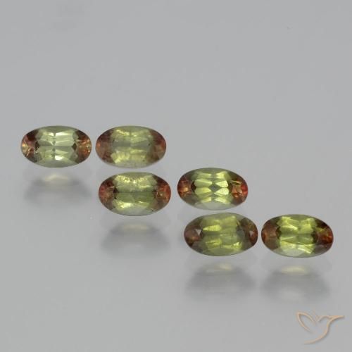 Lote de Andalucita Multicolor Ovalada de 6 piezas de Brasil - Peso 1,72 ct en total / promedio. 0,29 ct cada uno, Tamaño 5,1 x 3,1mm, Color: Multicolor, Dureza Mohs 7.5 Adecuado para joyas de uso diario, Photo A