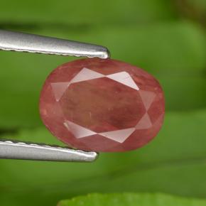 1.4ct Oval Facet Honey Red Andesine Labradorite Gem for sale 1.4ct Oval Facet Honey Red Andesine Labradorite Gem (ID: 302629)