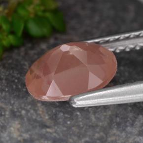 Andesine Labradorite Gemstone in 7.7 x 5.9 mm Size for Sale, Andesine Labradorite Stone in Honey Red Color