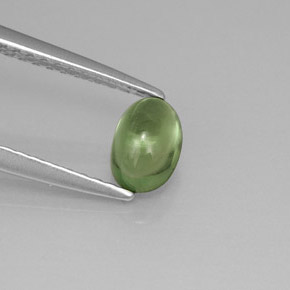 0.63 ct Green Apatite Gemstone, Apatite Gem in Oval Cabochon Shape for Sale.