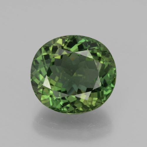 Dark Earthy Green Apatite Gem - 6ct Oval Facet (ID: 366100)