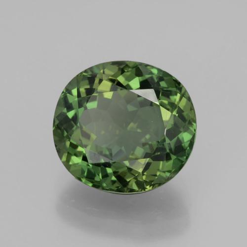 6.01 ct Green Apatite Stone, Natural Apatite in Oval Facet Shape for Sale