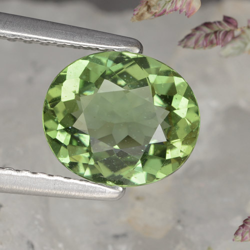 来自马达加斯加 1,44 克拉椭圆形深绿色磷灰石,尺寸 8,2 x 7 mm 毫米,天然宝石,vs-si 净度,1 椭圆形切面磷灰石,莫氏硬度为 5 - 5, Photo A