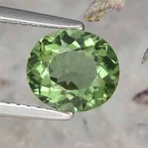 1.58 ct Green Apatite Gemstone, Apatite Gem in Oval Facet Shape for Sale.