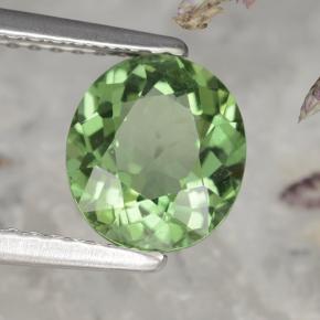 1.58 ct Green Apatite Stone, Natural Apatite in Oval Facet Shape for Sale