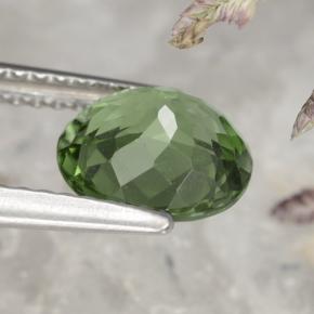 Apatite Gemstone in 7.9 x 7 mm Size for Sale, Apatite Stone in Deep Green Color