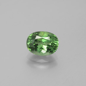 1.69 ct Green Apatite Gemstone, Apatite Gem in Oval Facet Shape for Sale.