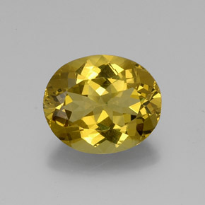 Medium Gold Apatite Gem - 10ct Oval Facet (ID: 382103)