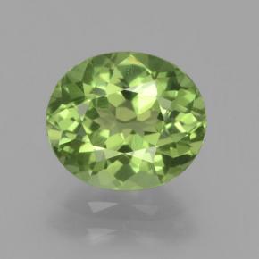Травянисто-зелёный Апатиты Камень - 1.8ct Фасетный Овал (ID: 392535)