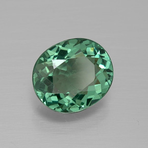 1.53 ct Green Apatite Stone, Natural Apatite in Oval Facet Shape for Sale