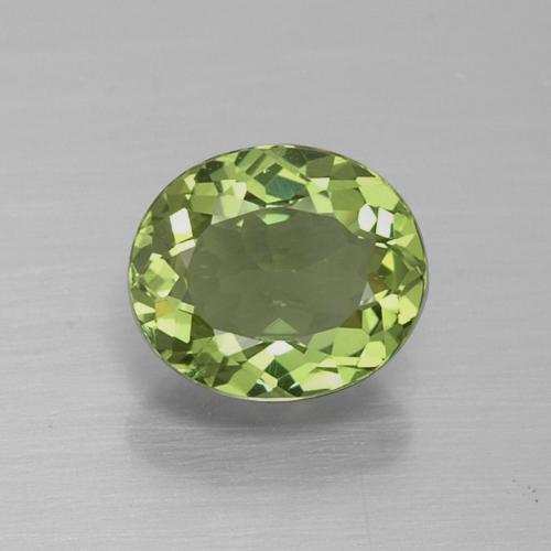 Warm Green Apatite Gem - 1.1ct Oval Facet (ID: 392749)