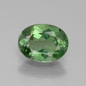 1.2ct Oval Facet Green Apatite for sale thumb image of 1.2ct Oval Facet Green Apatite (ID: 392752)