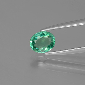 0.59 ct Green Apatite Gemstone, Apatite Gem in Oval Facet Shape for Sale.