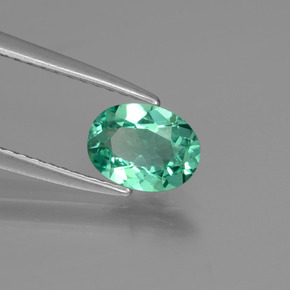 0.77 ct Green Apatite Stone, Natural Apatite in Oval Facet Shape for Sale