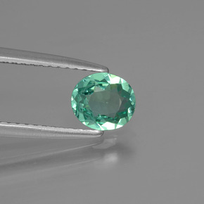 0.62 ct Green Apatite Stone, Natural Apatite in Oval Facet Shape for Sale