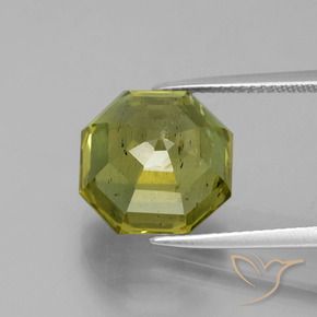 Apatite Gemstone in 12 x 12 mm (calibrated) Size for Sale, Apatite Stone in Warm Forest Green Color