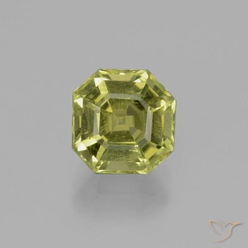 2,61 ct octagonschliff Apatit aus Madagaskar, Größe: 8 x 7,9mm, Reinheit: VS, Garantiert echter Edelstein, 1 Stück Apatit in Warmes Waldgrün Farbe, Mohs-Härte von 5 - 5, Photo A