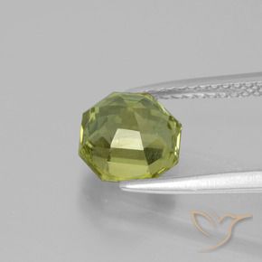 Apatite Gemstone in 7.4 x 7.3 mm Size for Sale, Apatite Stone in Warm Earthy Green Color
