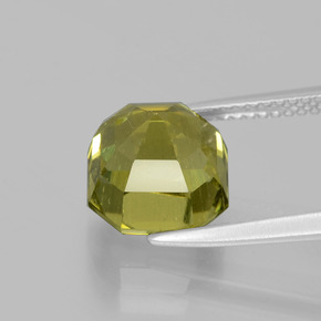 Apatite Gemstone in 9.1 x 9 mm Size for Sale, Apatite Stone in Warm Forest Green Color