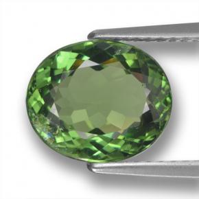 3.12 ct Green Apatite Gemstone, Apatite Gem in Oval Facet Shape for Sale.