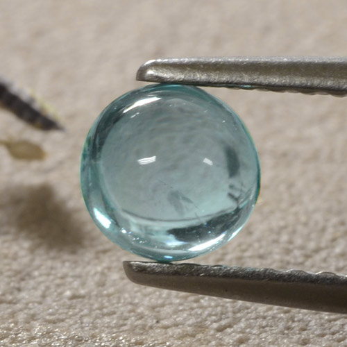 أخضر أزرق متوسط أباتيت حجر كريم - 0.9ct كابوشون دائرى (ID: 473269)