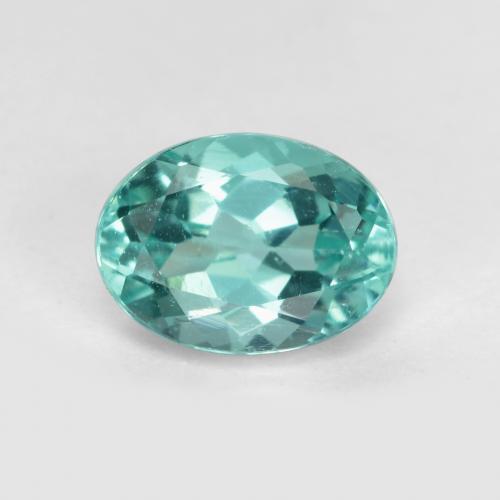 Intense Blue Green Apatite Gem - 1.3ct Oval Facet (ID: 475518)