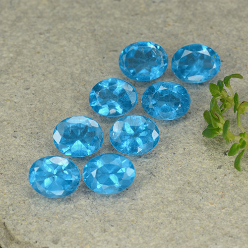 8 Stück ovaler blauer Apatit Set aus Madagaskar - Gewicht 2,68 ct total / Durchschn. je 0,34 ct, Größe 5 x 4mm, Farbe: Tiefes Azur, Mohs-Härte 5 - 5, Photo A