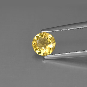0.52 ct Yellow Beryl Gemstone, Beryl Gem in Round Facet Shape for Sale.