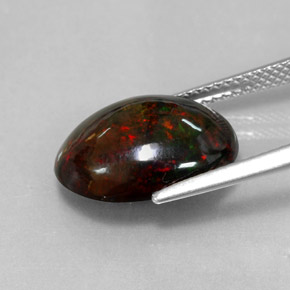 Black Opal Gemstone in 15.1 x 11.2 mm Size for Sale, Black Opal Stone in Multicolor Color