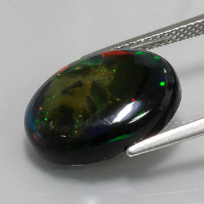 Black Opal Gemstone in 16.6 x 12.6 mm Size for Sale, Black Opal Stone in Multicolor Color