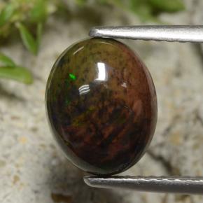 Multicolor Ópalo Negro Gema - 2.1ct Cabujón Óvalo (ID: 472009)