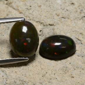 Многоцветный Черный Опал Камень - 1.2ct Овал Кабошон (ID: 473114)