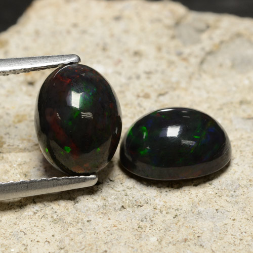 Multicolor Ópalo Negro Gema - 1.3ct Cabujón Óvalo (ID: 473365)