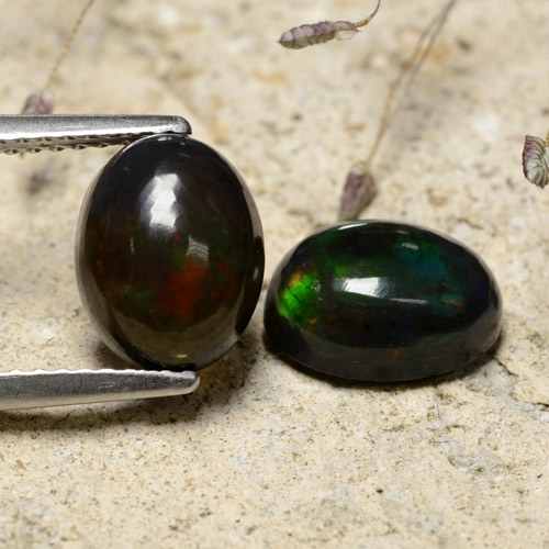 Multicolor Black Opal Gem - 1.5ct Oval Cabochon (ID: 473373)