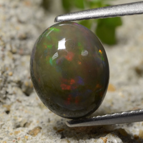 Multicolor Black Opal Gem - 1.5ct Oval Cabochon (ID: 473487)