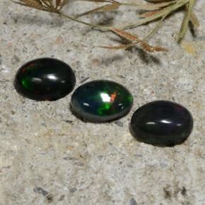 Multicolor Black Opal Gem - 1.1ct Oval Cabochon (ID: 473737)